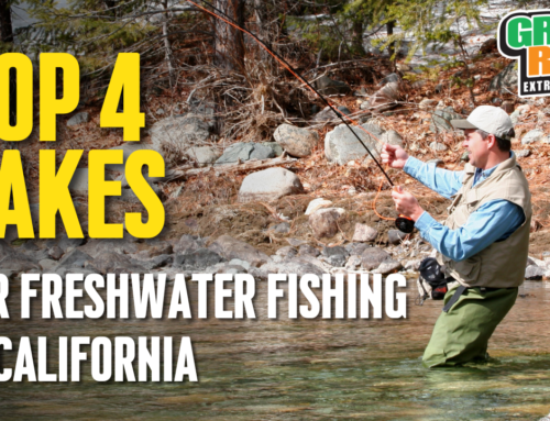 Top 4 Lakes For freshwater Fishing in California